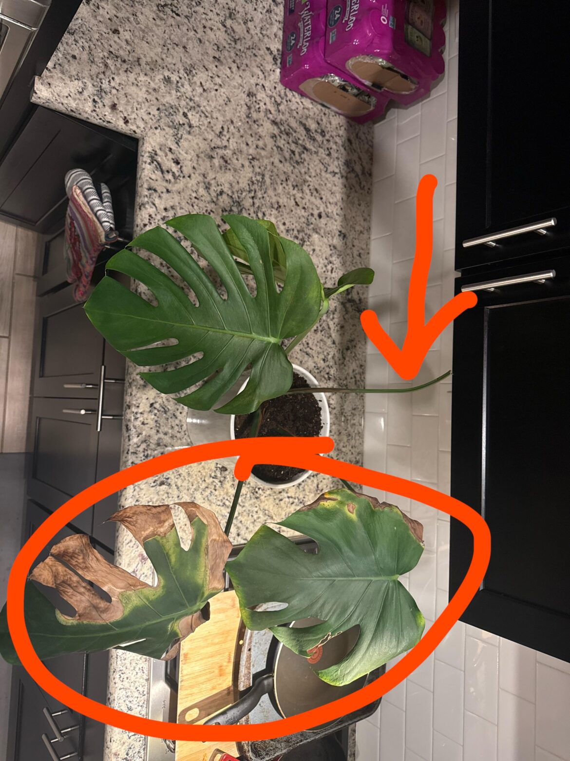 Progress and a question! Progress and a question!