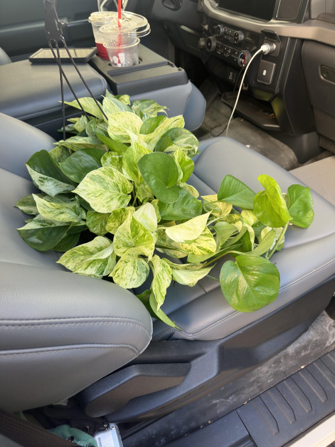 Manjula @ Home Depot