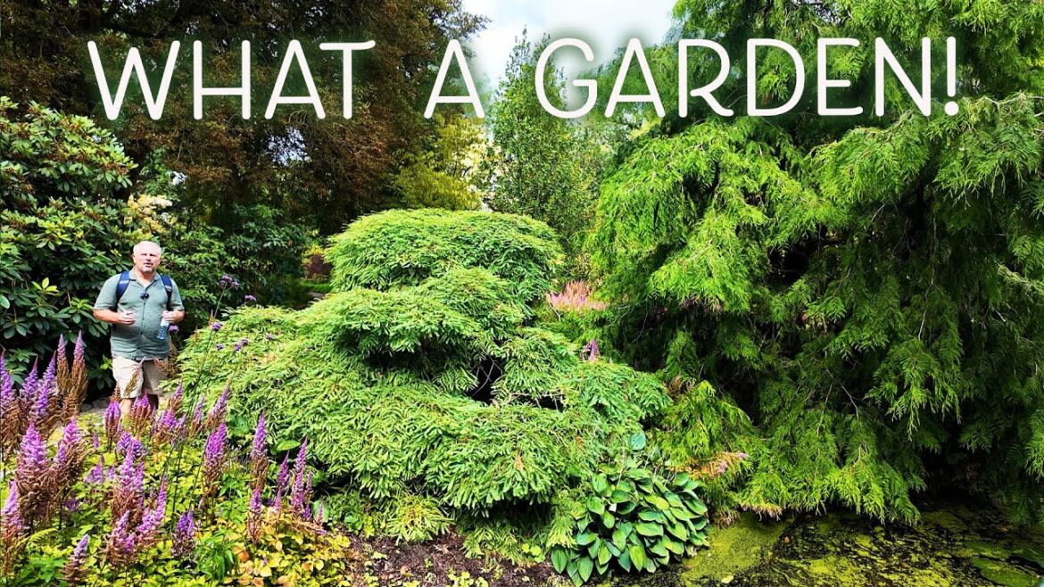 This is an Incredible Garden - Trompenburg Arboretum