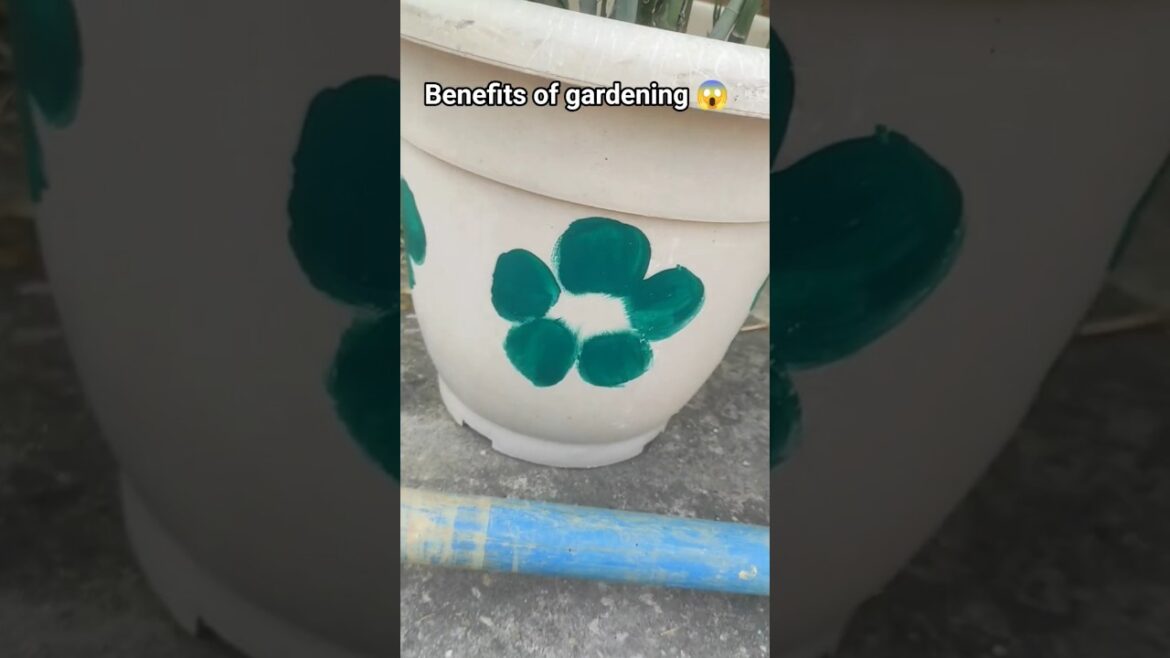 बागवानी के लाभ..😱😱#youtubeshorts #garden #shortvideo #gardening #ytshorts #trending #viral #diy बागवानी के लाभ..😱😱#youtubeshorts #garden #shortvideo #gardening #ytshorts #trending #viral #diy