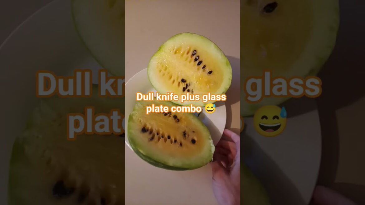 Yellow Melon! Will it be edible?? #melon #watermelon #garden #gardening #tastetest Yellow Melon! Will it be edible?? #melon #watermelon #garden #gardening #tastetest