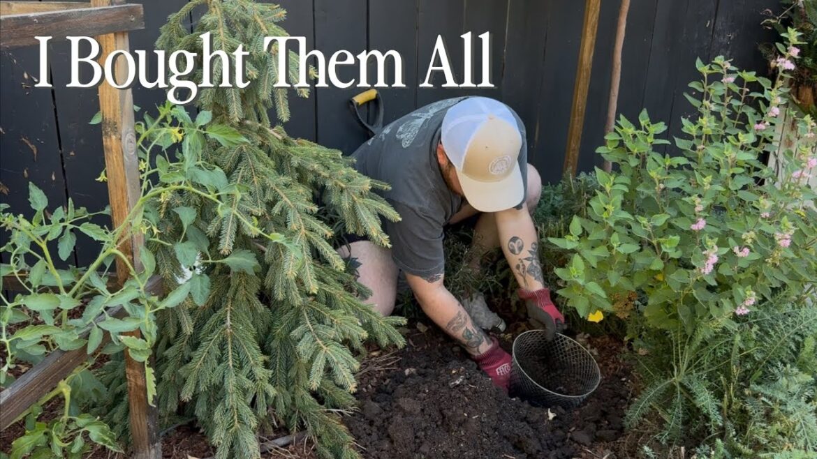 Planting in Dollar Tree Trash Cans?! || Visit Our Garden