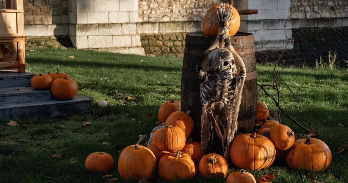 Gardener urges people to do one thing with pumpkins to help wildlife and gardens Daily Mirror