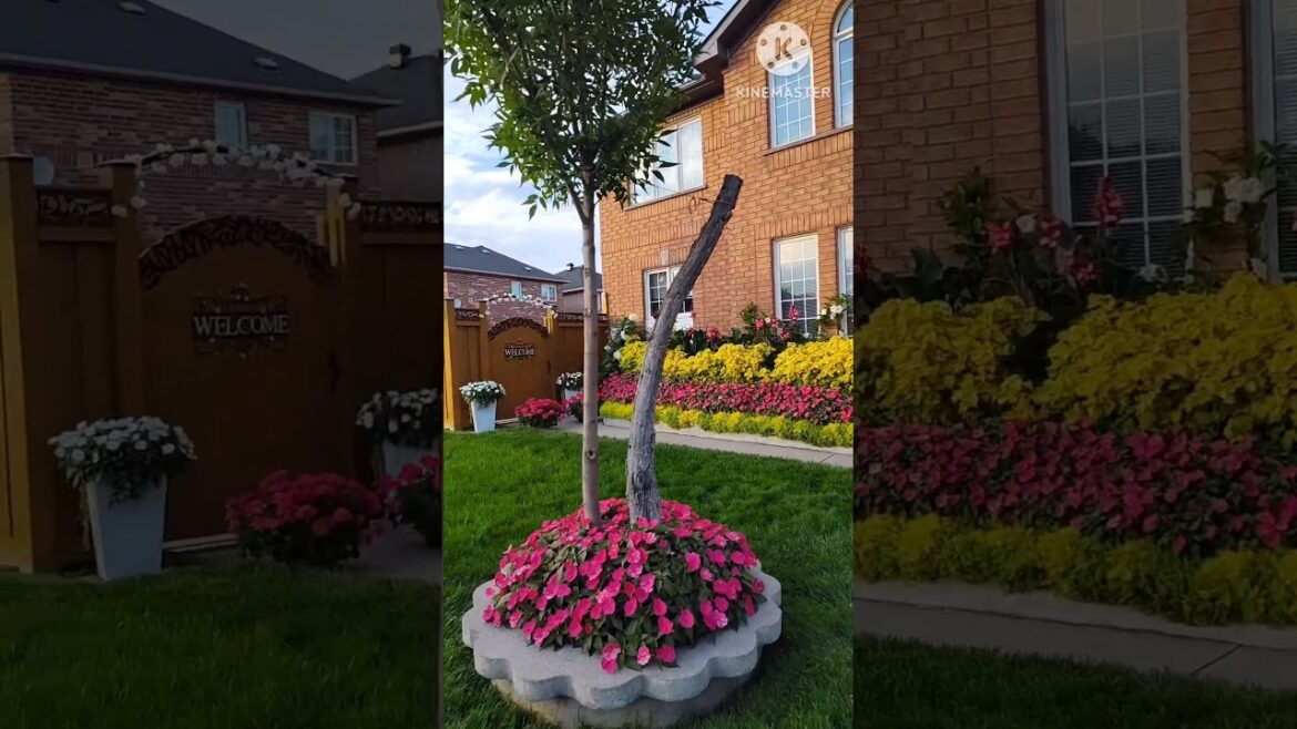 🌸 Stunning Front Yard Garden Tour | Neighborhood Inspiration & Cottage-Style Blooms