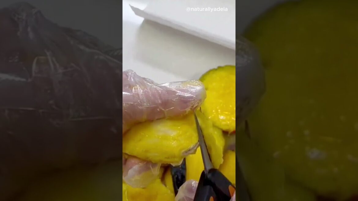 Part 7 Full Video Linked below | Backyard Edible Food Forest Part 7 Full Video Linked below | Backyard Edible Food Forest