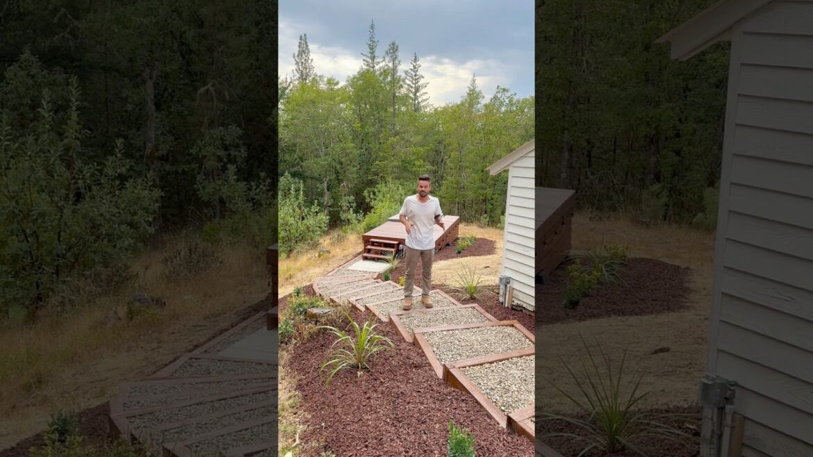 What tree should I plant?!? #DIY #backyard #hottub