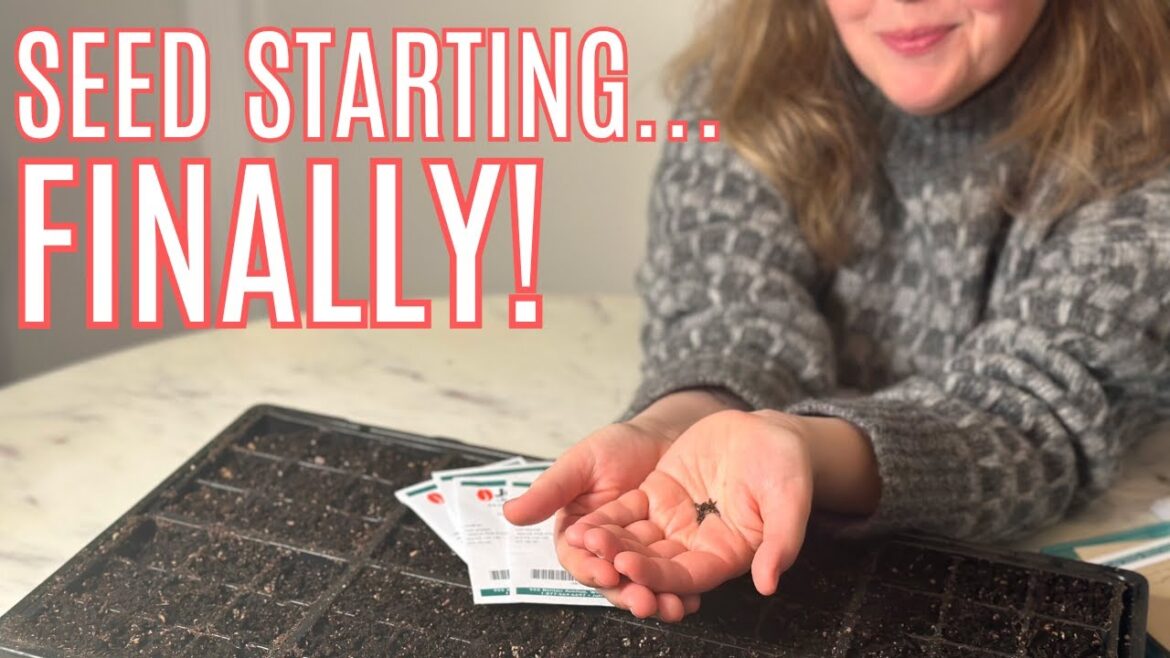 Seed Starting Basics + What I’m starting for the Cut Flower Garden!