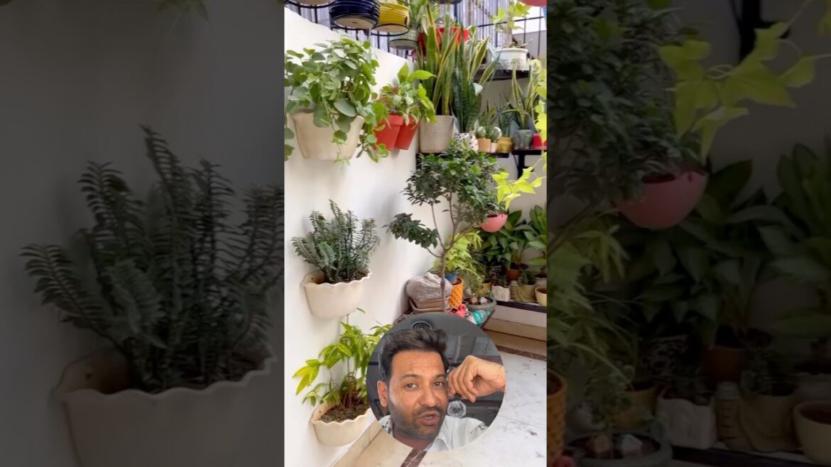 How to make beautiful garden with this simple technique. #gardendesign #gardening #gardenplants