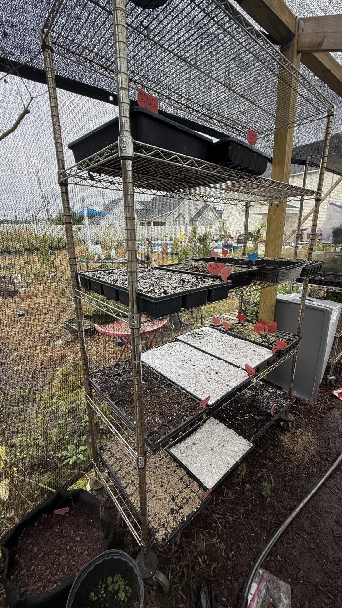 I have about 18 sets of seeds I’m starting next year, probably close to 2000 seeds. This pic is only a small fraction of what it will ultimately be. I need some more shelves…