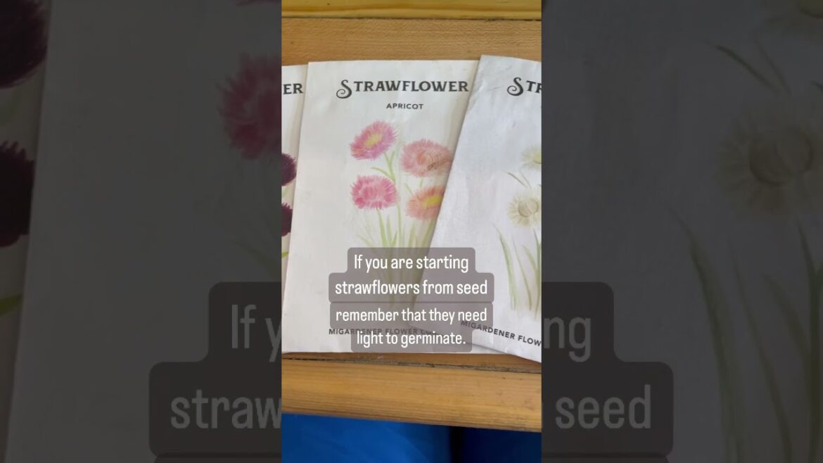 Don't make my mistake! 💡🌱 #garden