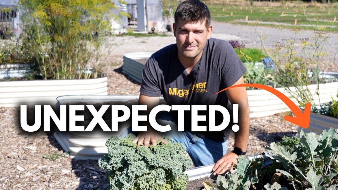 MIgardener: What an Unexpected Success! What an Unexpected Success!
