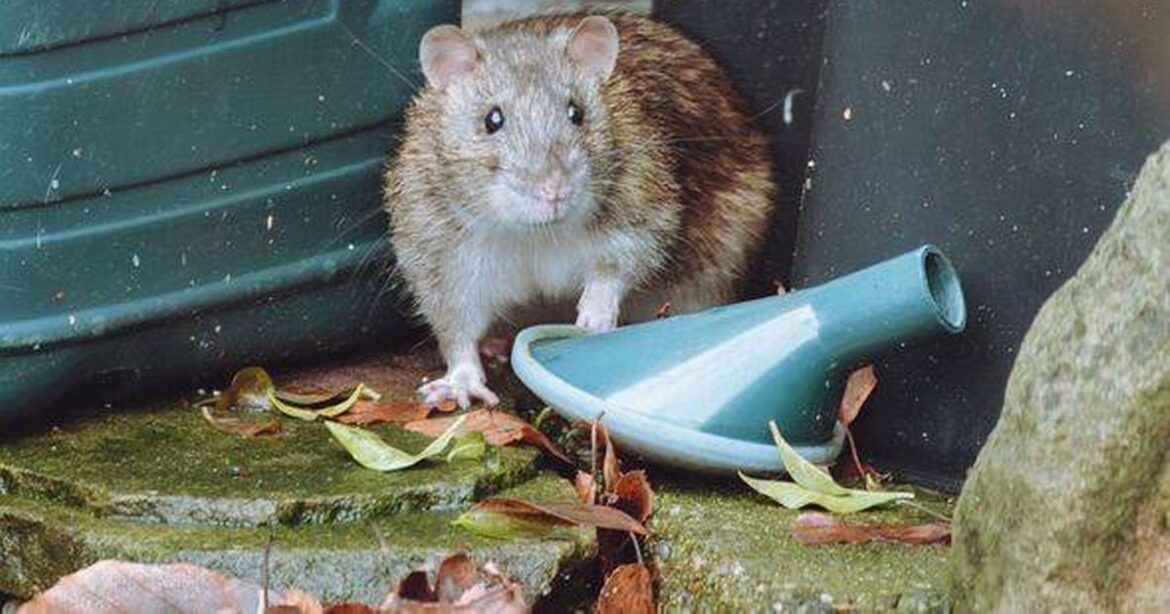 Nottinghamshire Live