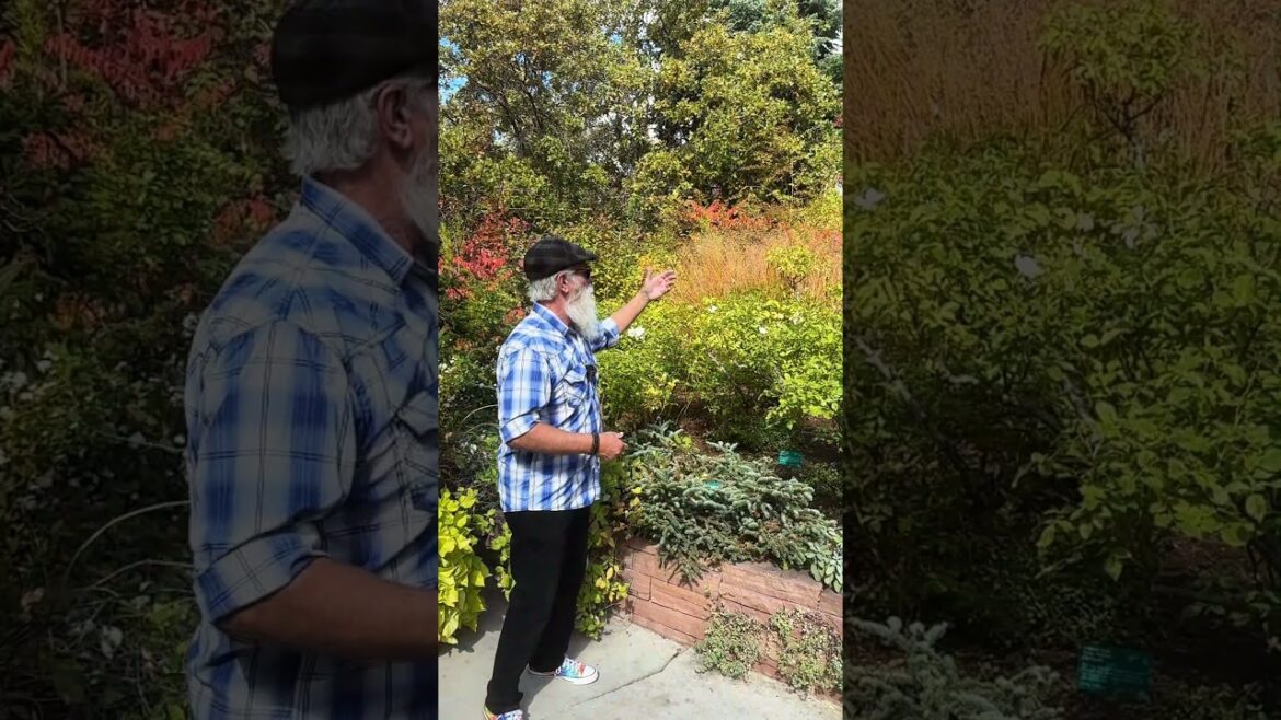 Elements of Garden Design: Seasonal Layering #gardening #gardendesign #garden #education #design Elements of Garden Design: Seasonal Layering #gardening #gardendesign #garden #education #design