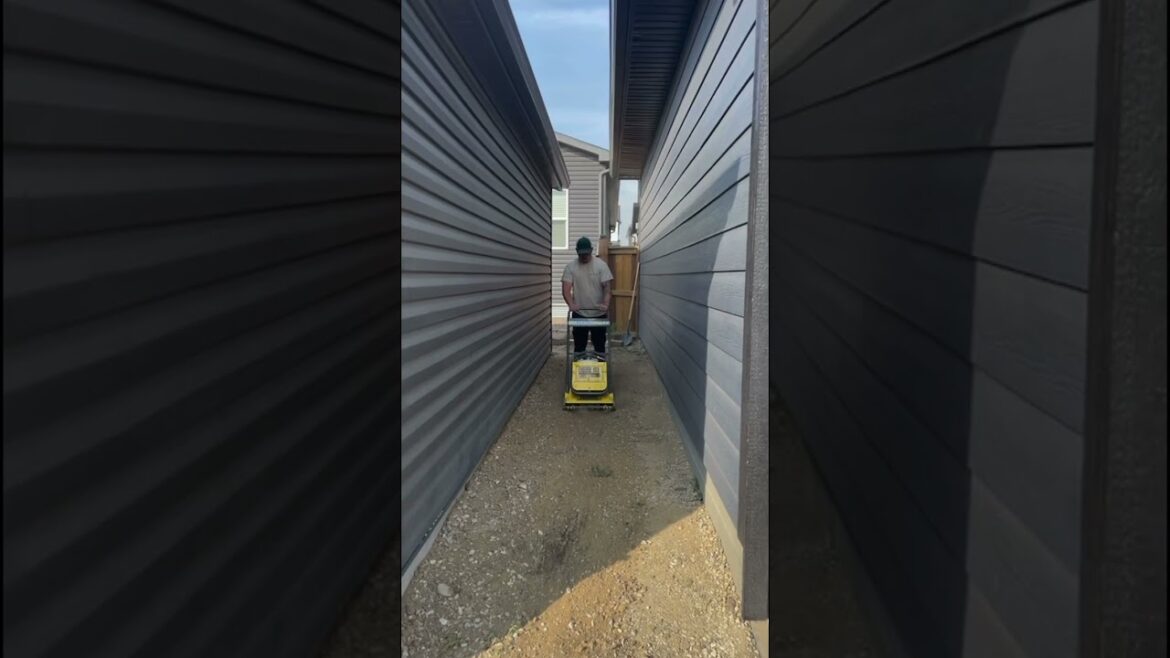 Overgrown backyard Transformation! #backyard #landscaping #expensify #construction #getcracking