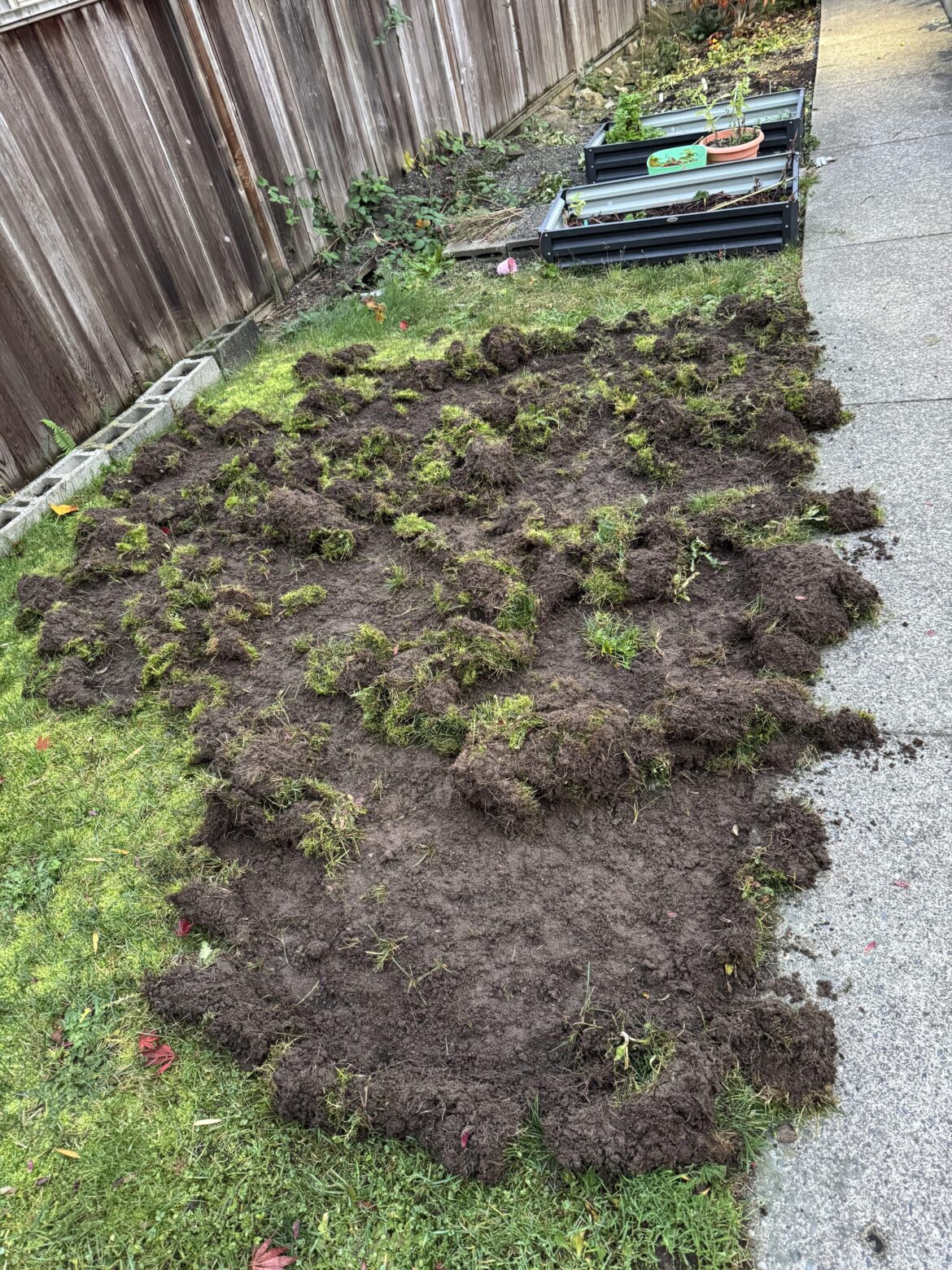 What animal could have caused this sort of damage?