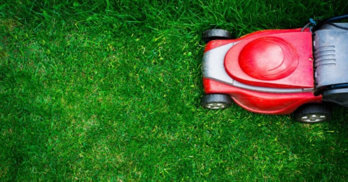 UK households mowing lawn for final time this year risk £5,000 fine this weekend Birmingham Live