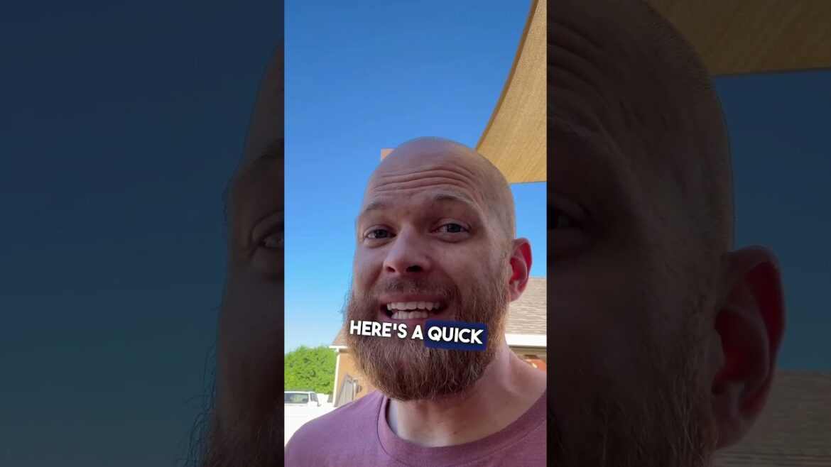 How to Naturally Repel Wasps #gardentips #garden #gentlegardeners #wasp