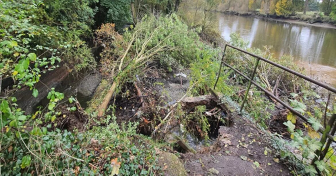 Collapsed Thames Path near Kew Gardens to reopen after 1 year and delayed repairs My London