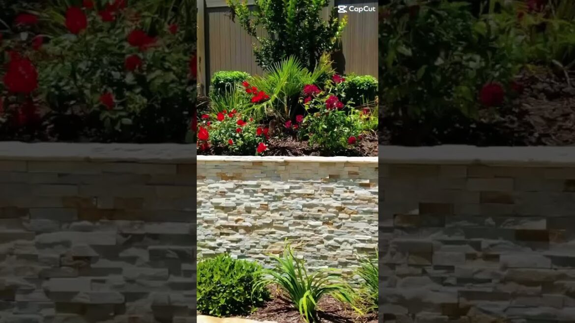 Full home transformation #sandiego #landscape #commercialpaving #gardendesign #backyard #garden