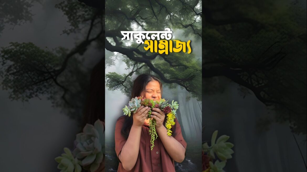 এত্ত রকমের সাকুলেন্ট বিনামূল্যে? 🤯🌱 #shorts #minivlog #bengali #lifestyle #gardening এত্ত রকমের সাকুলেন্ট বিনামূল্যে? 🤯🌱 #shorts #minivlog #bengali #lifestyle #gardening
