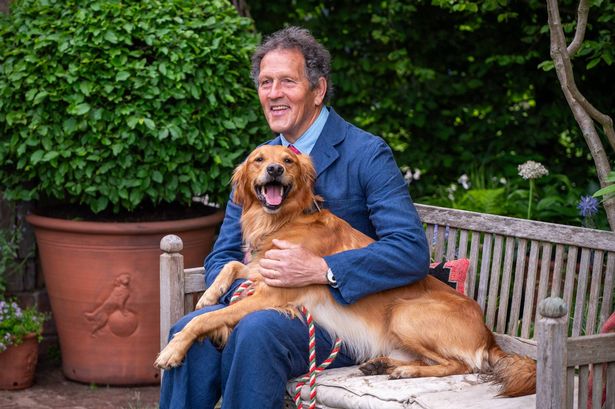 Monty Don has an informal moment with his Golden Retriever Ned on the RHS and BBC Radio 2 Dog Garden at RHS Chelsea on May 19, 2025 in London,