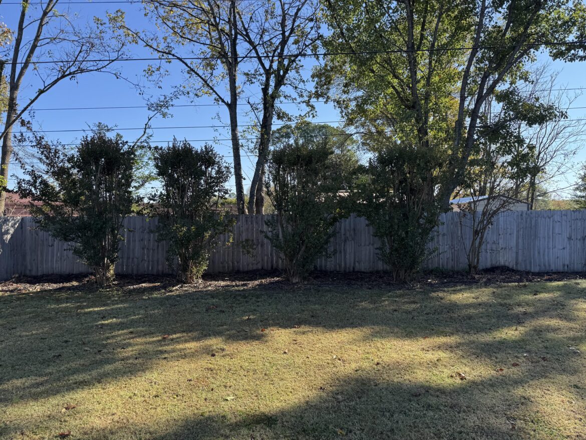 Looked out my back window today and saw that one of my Crape Myrtle’s seems to have randomly died.