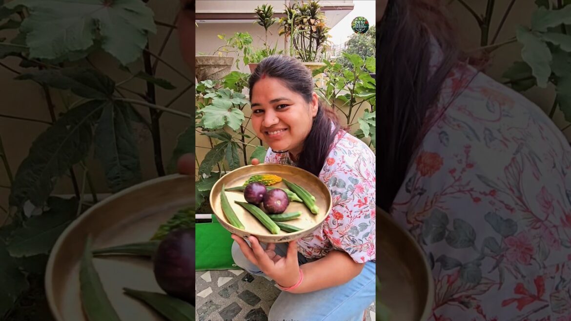 What Grew in My Container Garden in 20 Days? #organicharvest #terracegarden #growyourownfood What Grew in My Container Garden in 20 Days? #organicharvest #terracegarden #growyourownfood