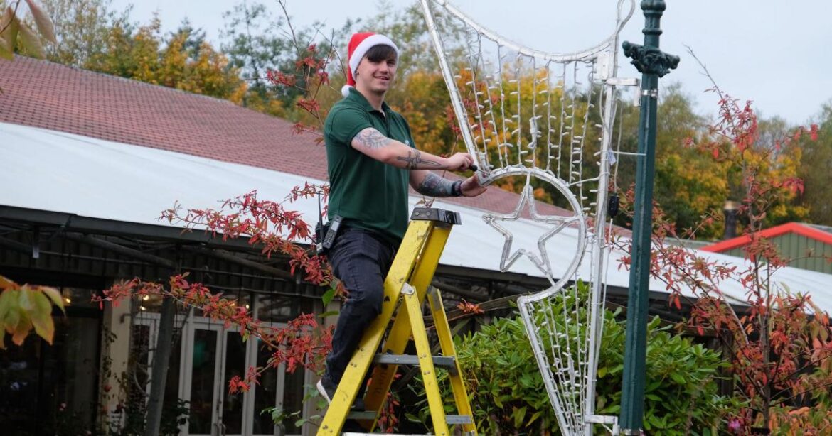 Cardwell Garden Centre announces Christmas switch-on event Cardwell Garden Centre announces Christmas switch-on event
