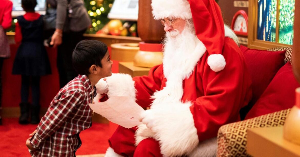 Cardwell Garden Centre seeks a Santa Claus for Christmas Cardwell Garden Centre seeks a Santa Claus for Christmas