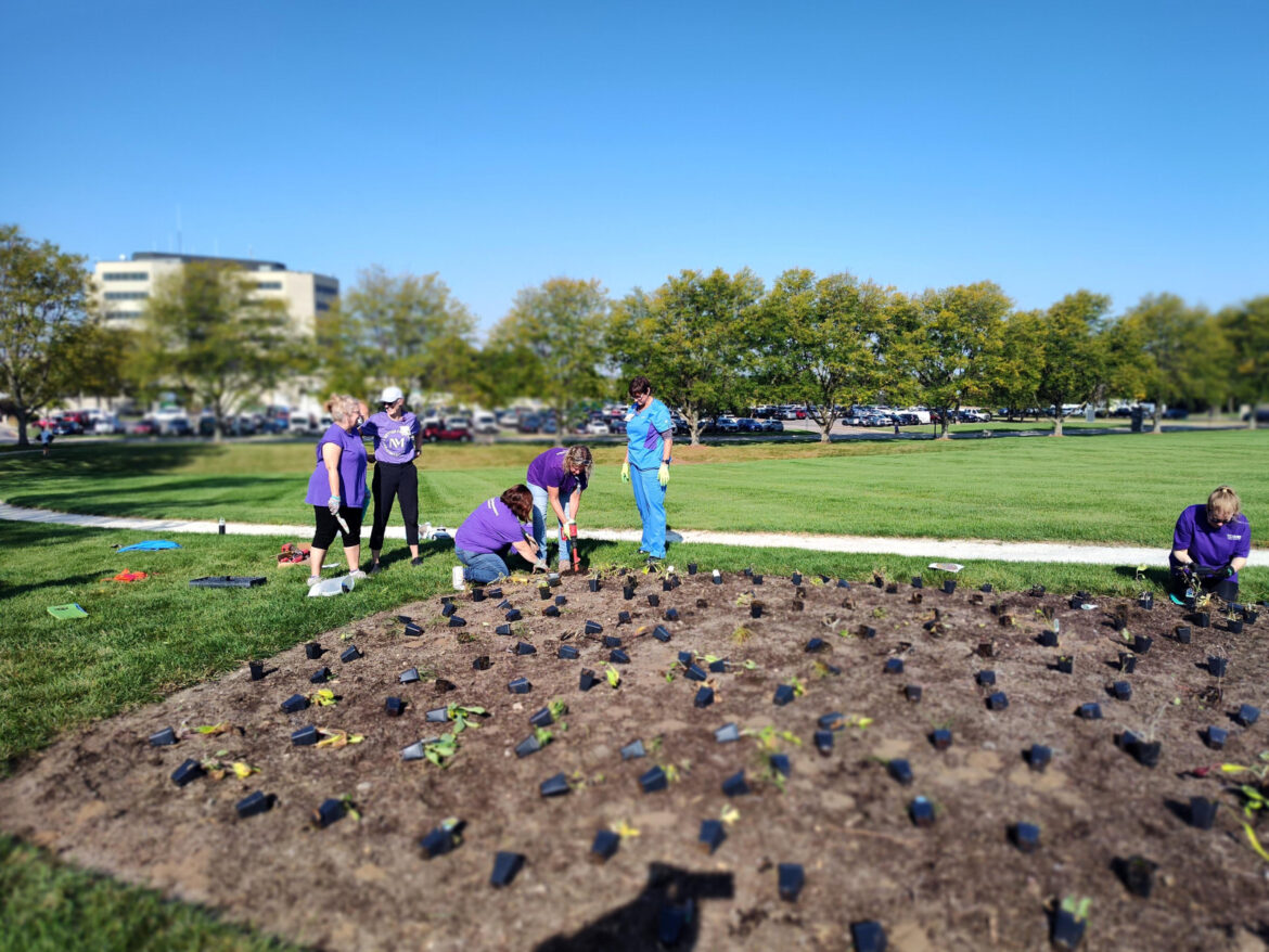 Native Garden Expansion at McHenry Hospital Supports Sustainability & Healing Native Garden Expansion at McHenry Hospital Supports Sustainability & Healing