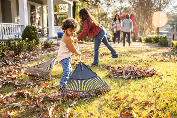 Children raking leaves in front yard of home
