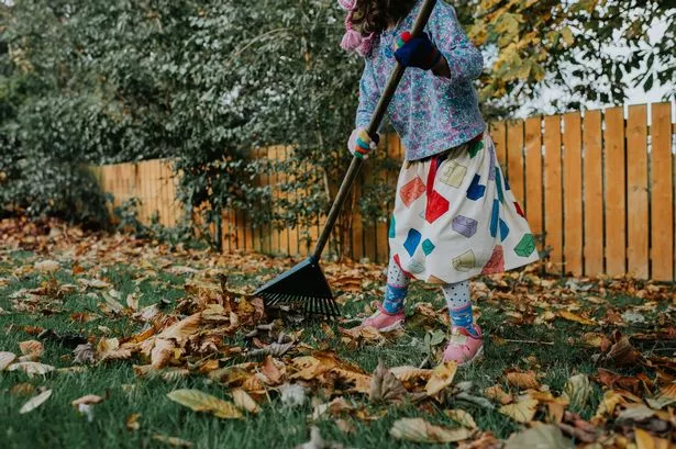 Person gardening