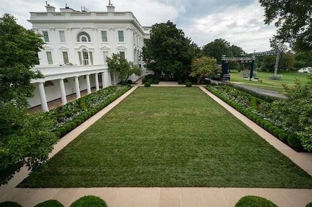 Rose garden redesign