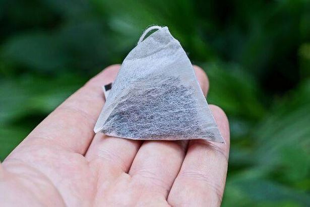 one triangular white paper bag with black tea lies in the palm of your hand