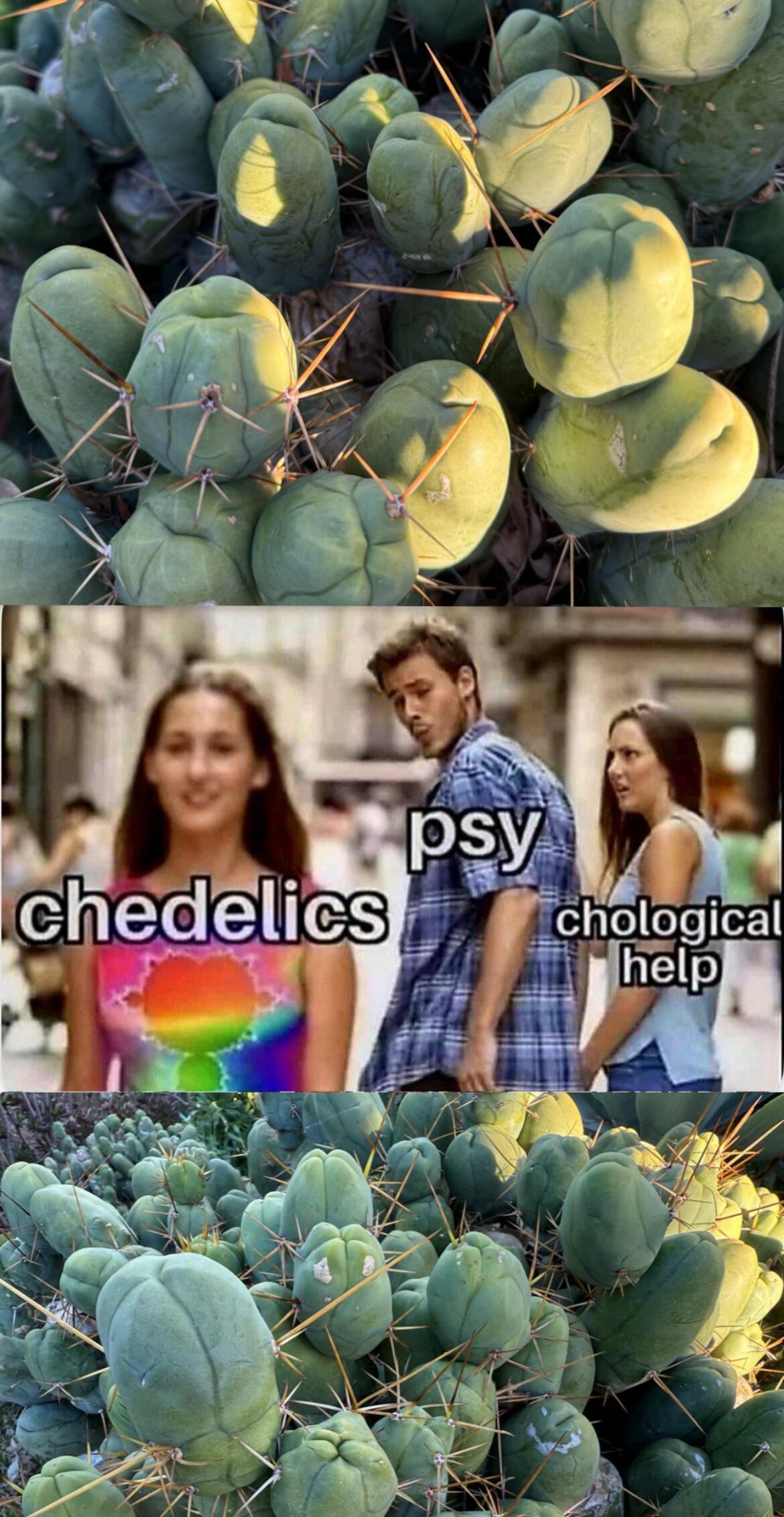 Psy knows what’s up !