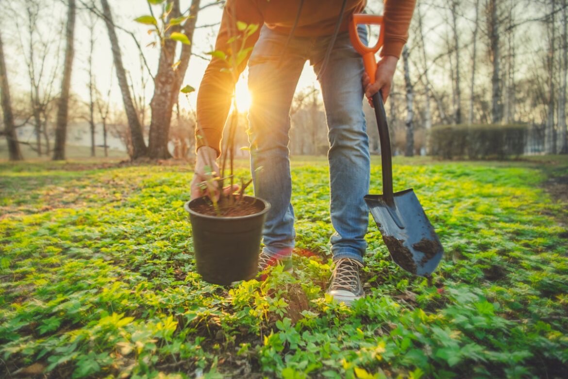 The stylish essentials to buy to elevate your gardening wardrobe The stylish essentials to buy to elevate your gardening wardrobe