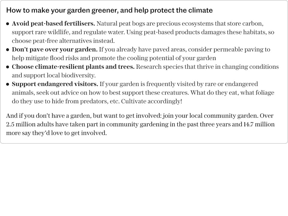 How to make your garden greener, and help protect the climate