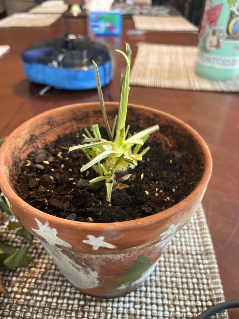 I’m colorblind, is there still green left? I’m colorblind, is there still green left?