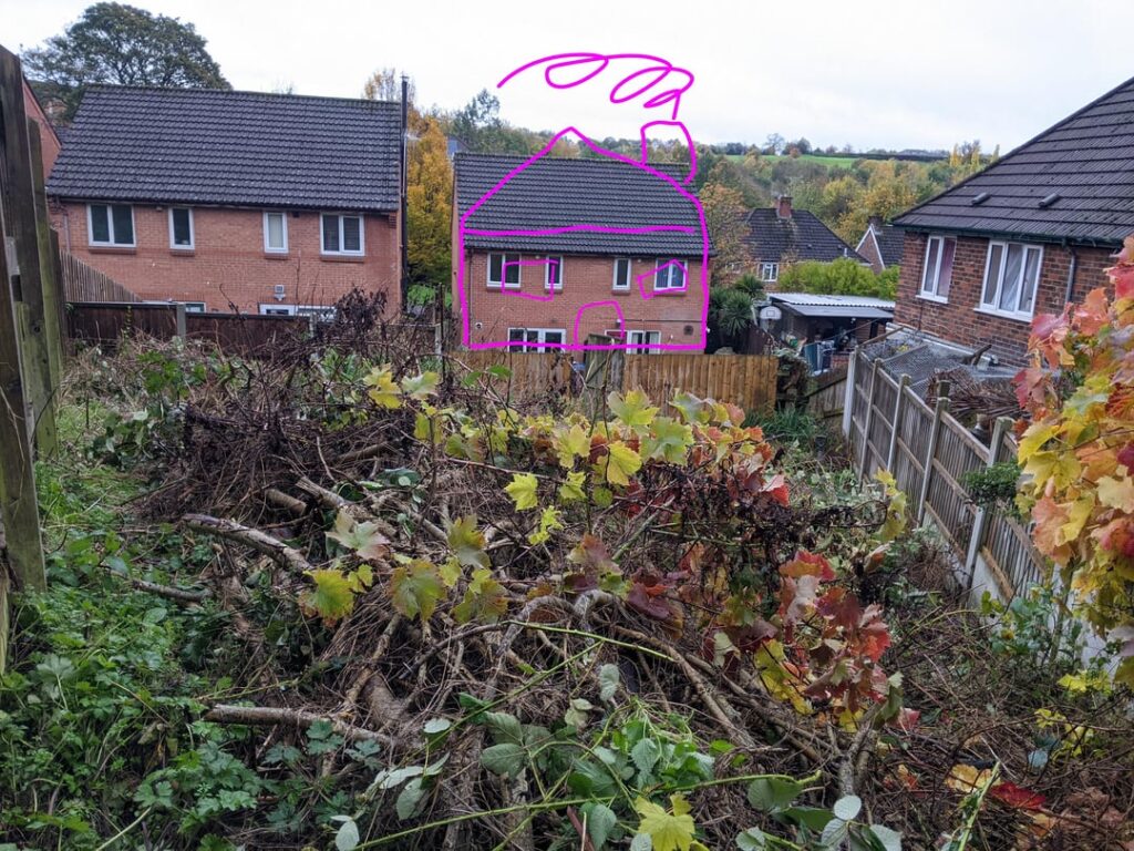 How do I approach this, and what would you do with the space?