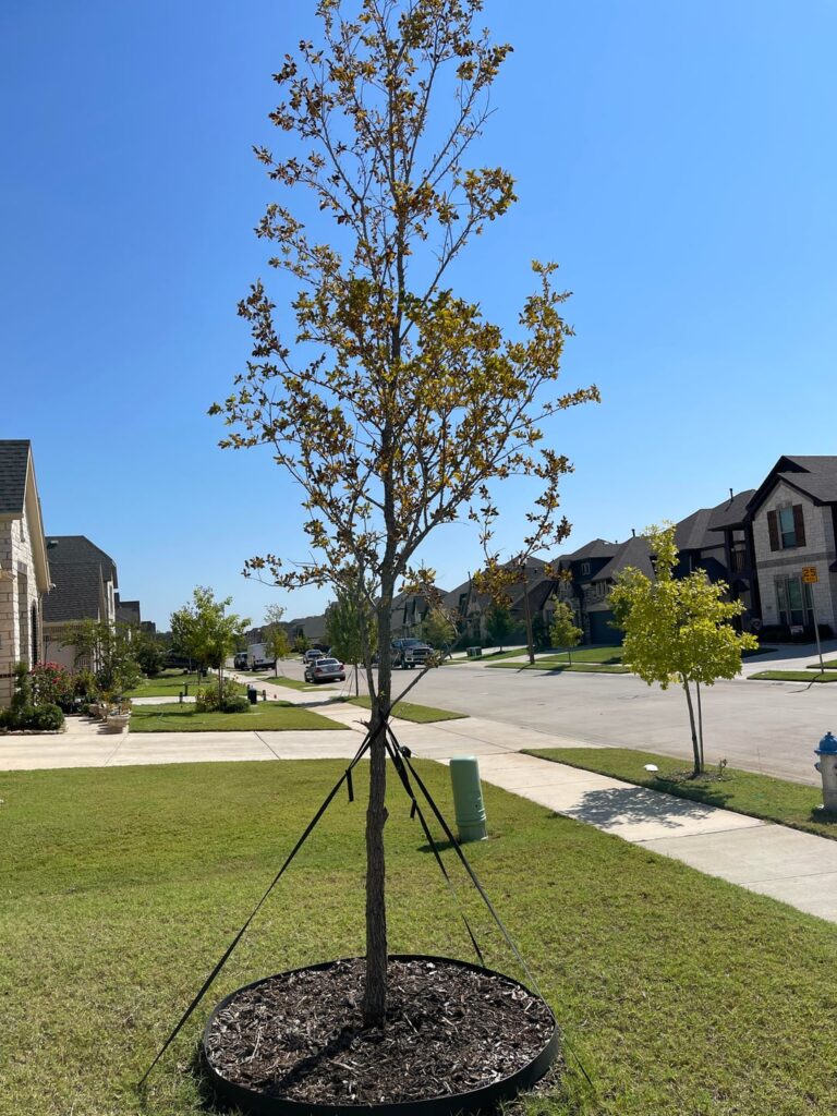 Please help me save this guy !