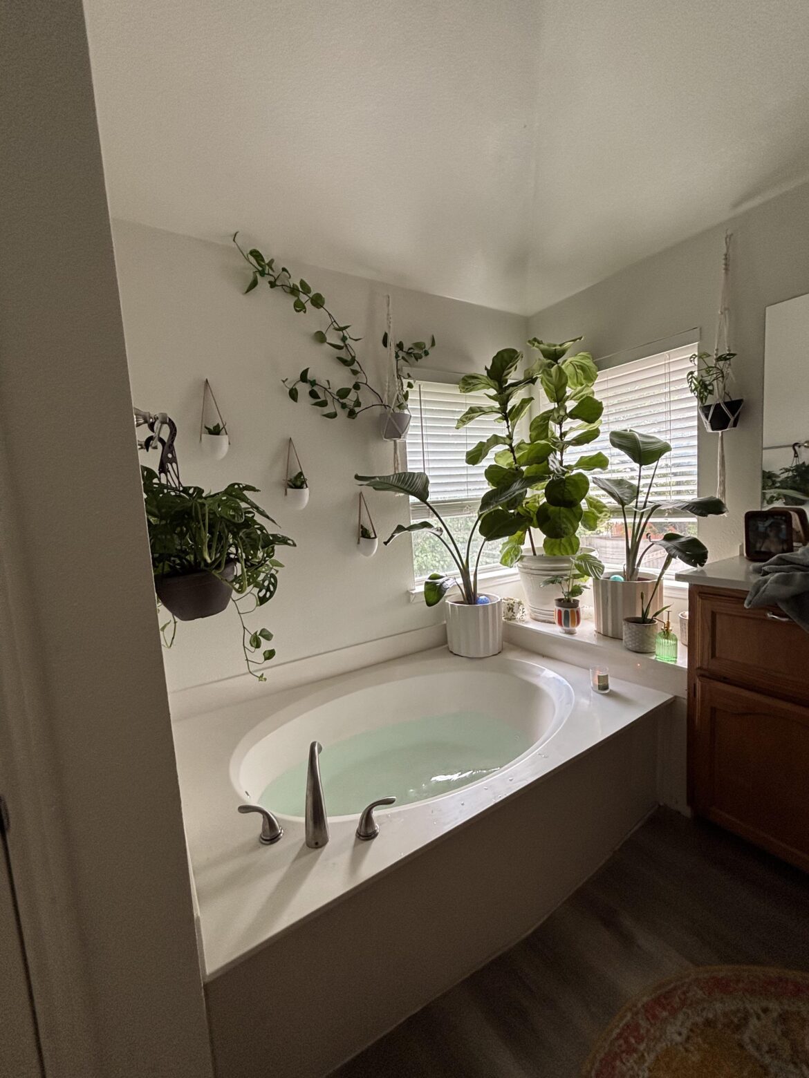 Show me the plants in your bathroom 😍