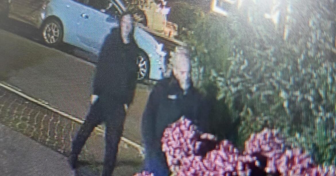 Eastbourne Police say 80 flowers stolen from front garden