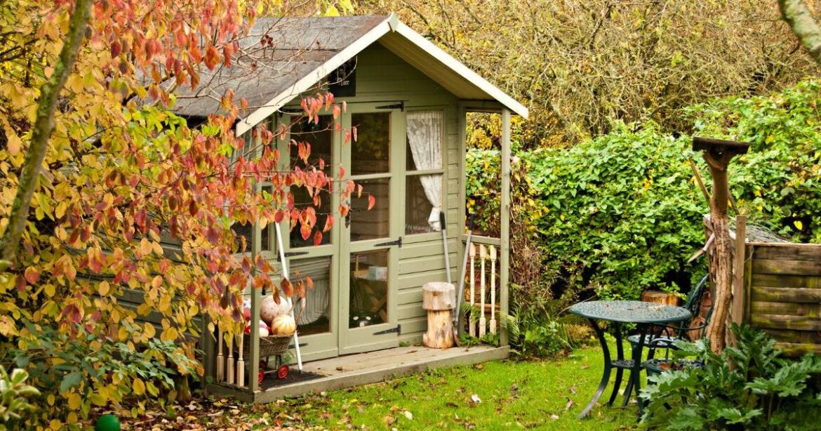 Gardeners urged to stop mowing lawns to avoid killing grass Gardeners urged to stop mowing lawns to avoid killing grass