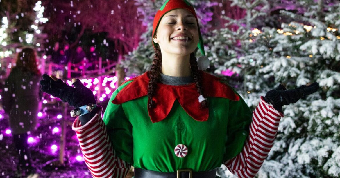 Award-winning Enchanted Gardens to return to Webbs for 2025 Award-winning Enchanted Gardens to return to Webbs for 2025