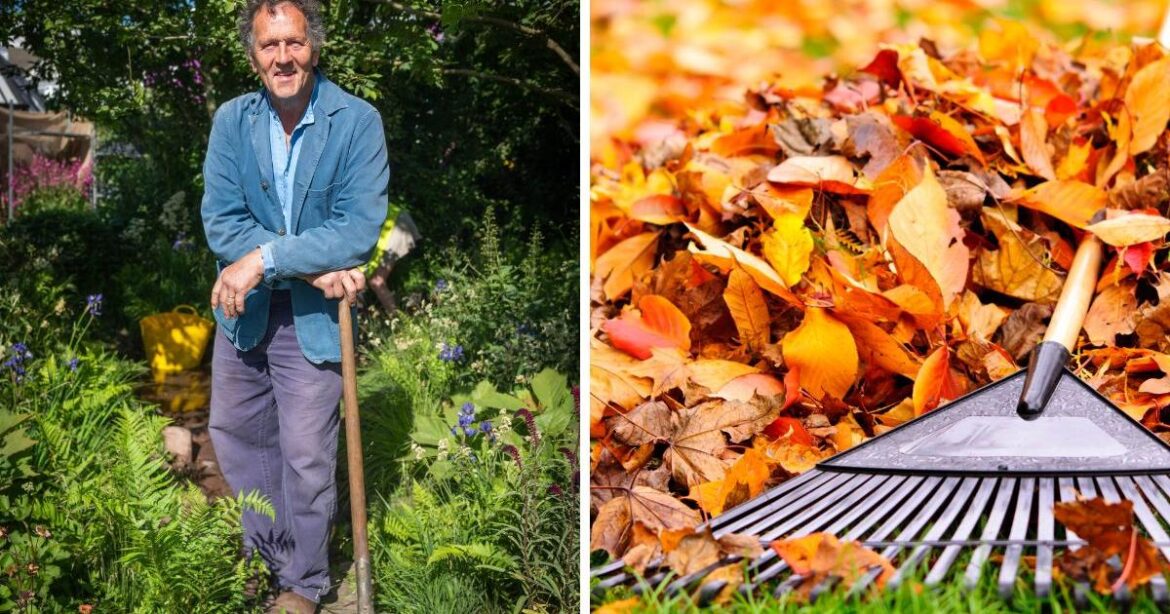 Monty Don urges gardeners to do once a year lawn trick now Monty Don urges gardeners to do once a year lawn trick now