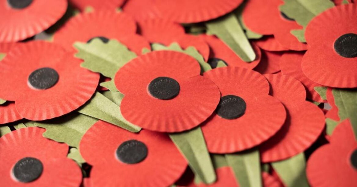 Cowdenbeath: Remembrance garden to open on Saturday Cowdenbeath: Remembrance garden to open on Saturday