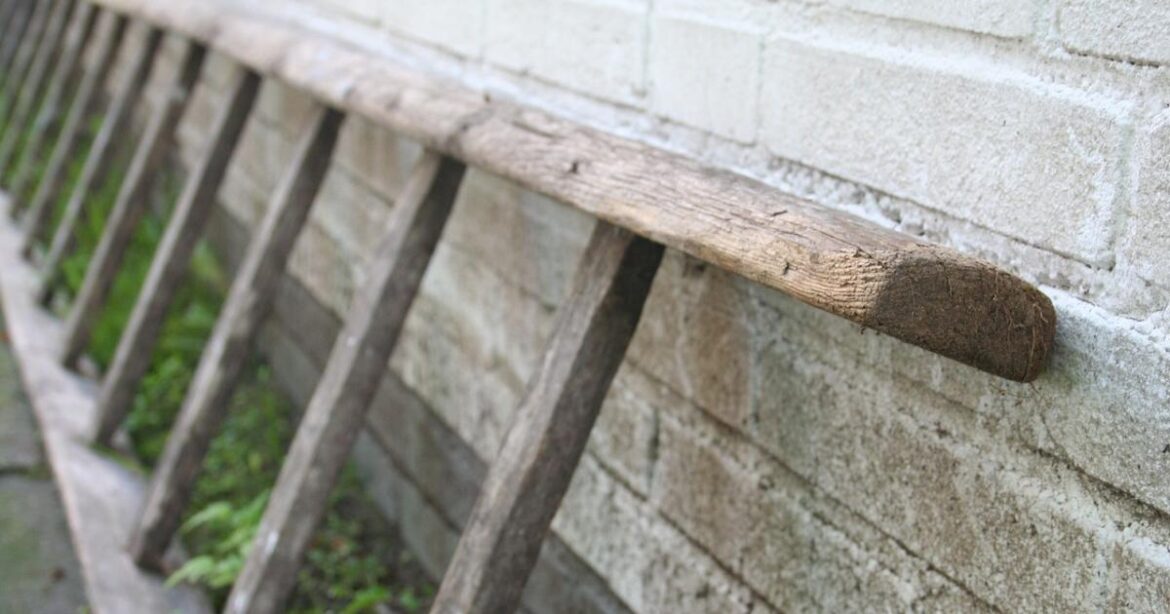 Oxfordshire gardening firm worker seriously hurt in ladder fall Oxfordshire gardening firm worker seriously hurt in ladder fall