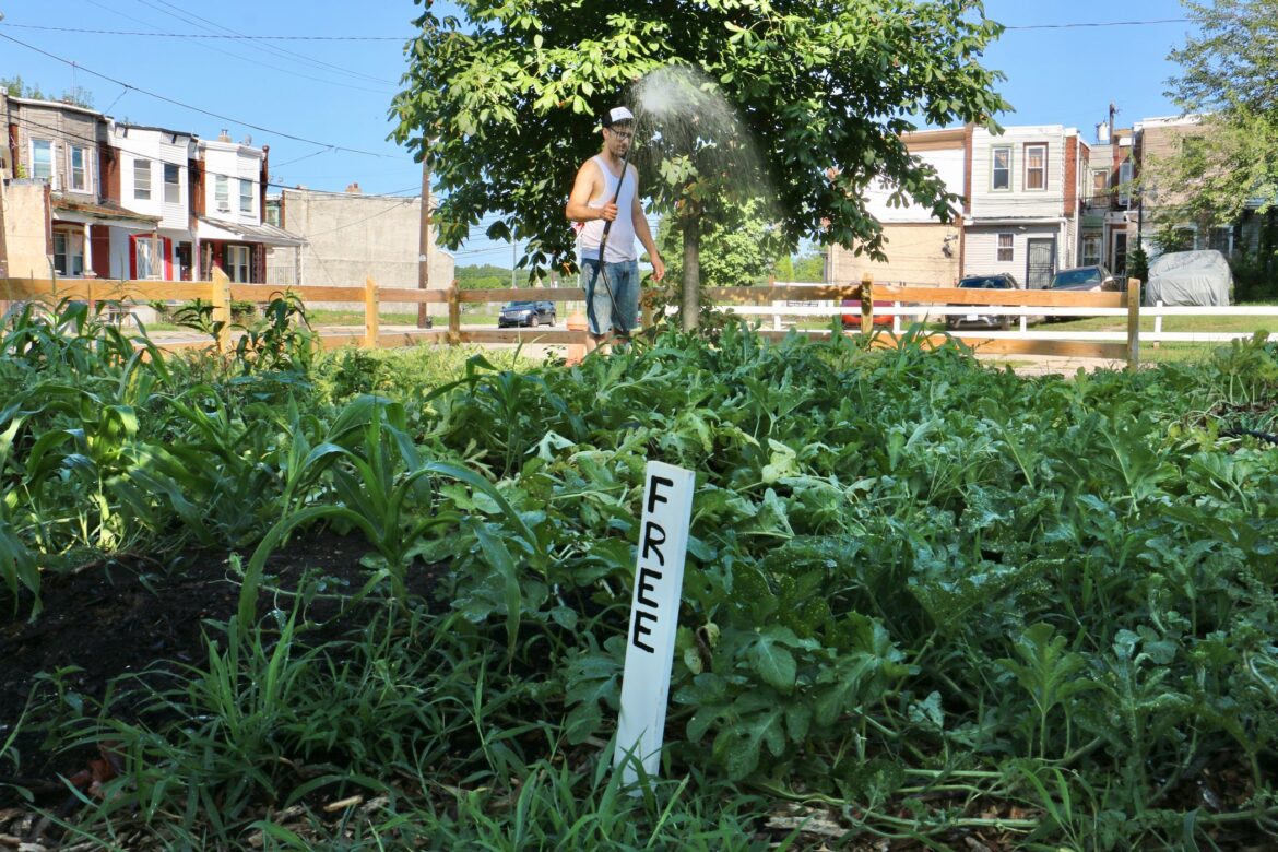 Philadelphia community garden lots bought by Land Bank