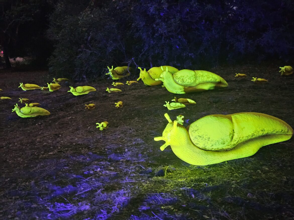 October on the Peninsula: 'Nightfall' garden tours, Eichler history walk, San Andreas Fault hike — and more