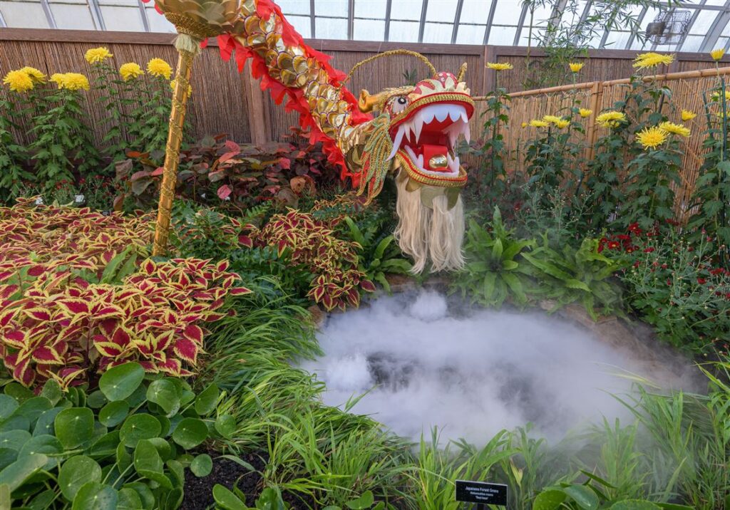 At Phipps in fall, mums the word (plus dinosaurs!)